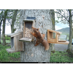 Campark T200 Solar Trail Camera with WiFi Bluetooth Campark T200 Solar Trail Camera with WiFi Bluetooth