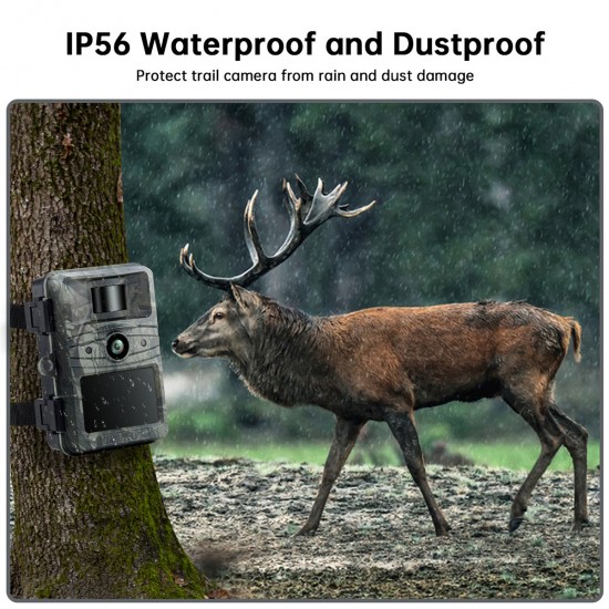 Campark TC03 4K 32MP Low Glow Flash Trail Camera