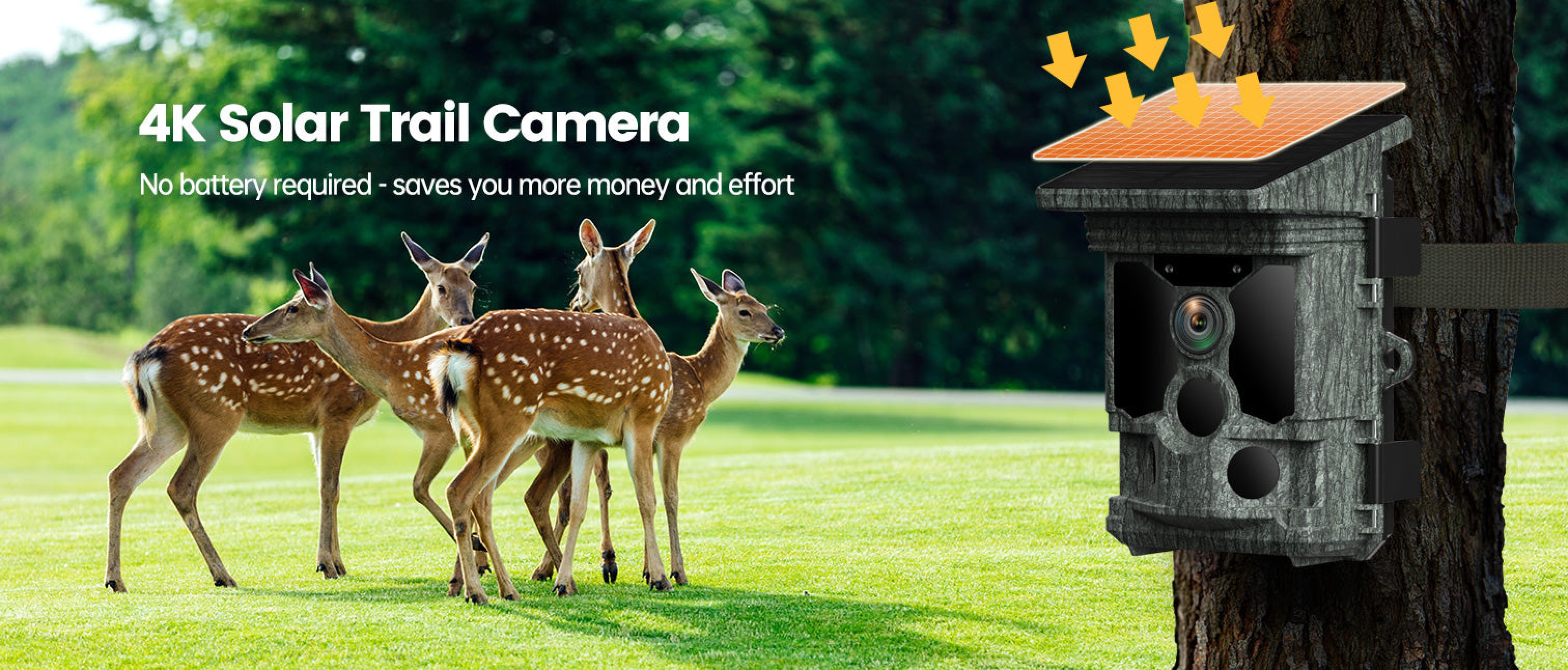 BESTPRO Camera Online Shop Focus on Various Cameras like trail camera